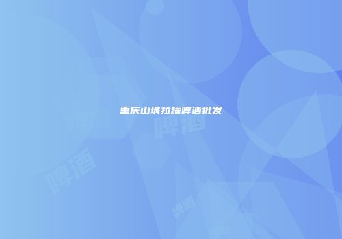 重庆山城拉罐啤酒批发