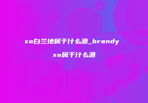 xo白兰地属于什么酒_brandy xo属于什么酒