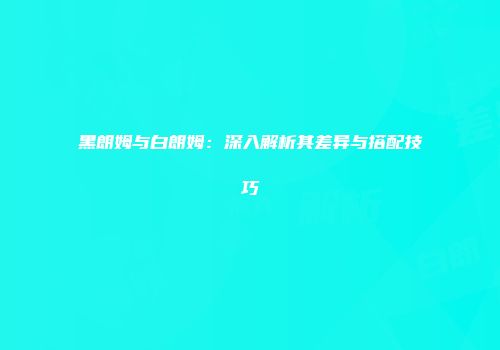 黑朗姆与白朗姆：深入解析其差异与搭配技巧