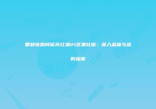 智利佳酿柯诺苏红酒21区黑比诺：深入品味与选购指南