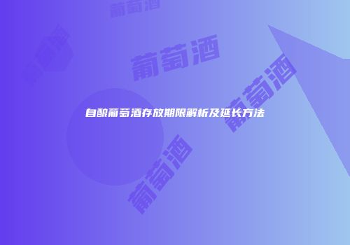 自酿葡萄酒存放期限解析及延长方法