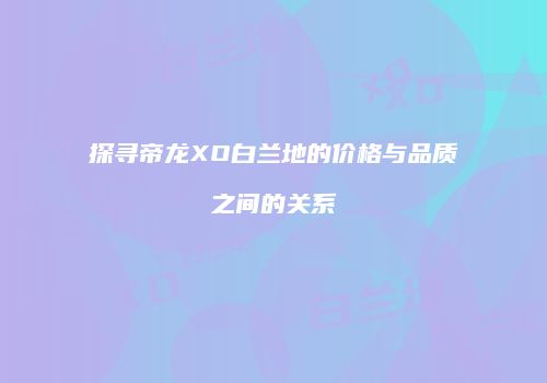 探寻帝龙XO白兰地的价格与品质之间的关系