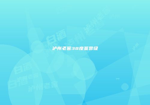 泸州老窖38度鉴赏级