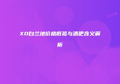 XO白兰地价格概览与酒吧含义解析