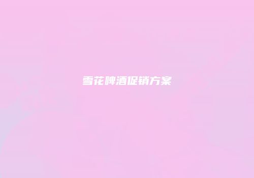 雪花啤酒促销方案