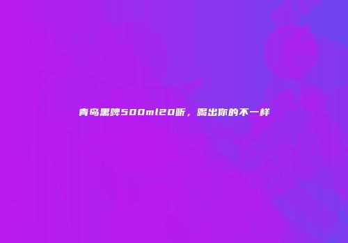 青岛黑啤500ml20听，喝出你的不一样
