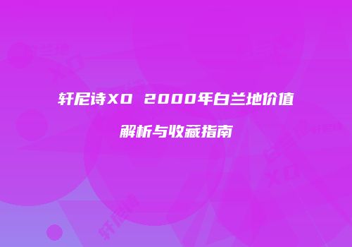 轩尼诗XO 2000年白兰地价值解析与收藏指南