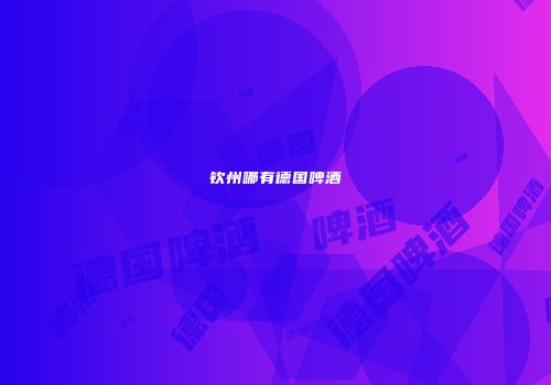 钦州哪有德国啤酒