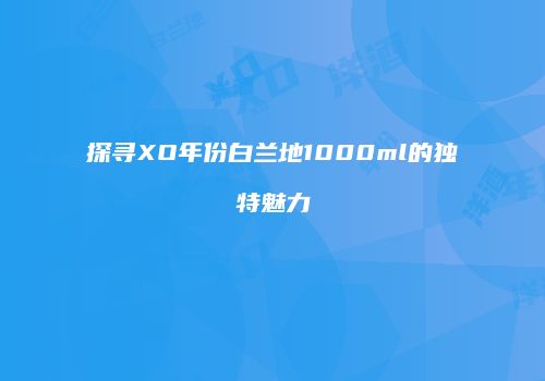 探寻XO年份白兰地1000ml的独特魅力