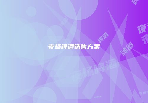 夜场啤酒销售方案