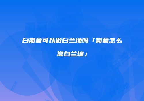 白葡萄可以做白兰地吗「葡萄怎么做白兰地」