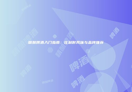 精酿啤酒入门指南：比利时风味与品牌推荐