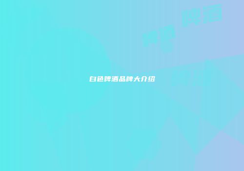 白色啤酒品牌大介绍