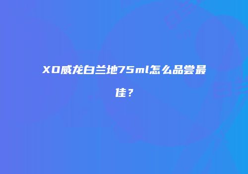 XO威龙白兰地75ml怎么品尝最佳？