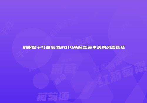 小帕斯干红葡萄酒2014品味高端生活的必备选择