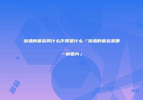 泡酒的葡萄叫什么作用是什么「泡酒的葡萄是哪一种图片」