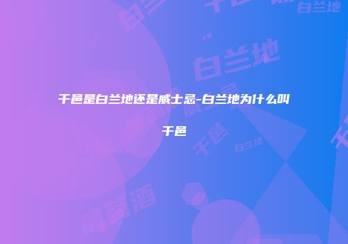 干邑是白兰地还是威士忌-白兰地为什么叫干邑