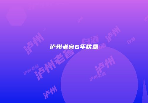 泸州老窖6年铁盒