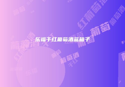 乐福干红葡萄酒蓝箱子