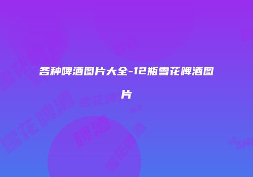 各种啤酒图片大全-12瓶雪花啤酒图片