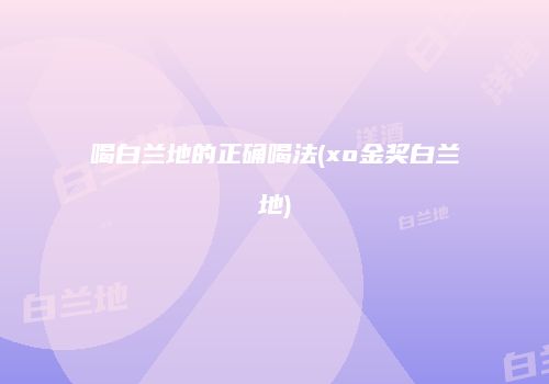 喝白兰地的正确喝法(xo金奖白兰地)