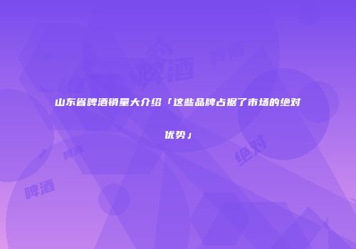 山东省啤酒销量大介绍「这些品牌占据了市场的绝对优势」