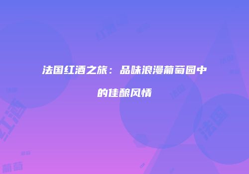 法国红酒之旅：品味浪漫葡萄园中的佳酿风情