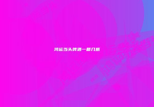 鸿运当头啤酒一箱几瓶