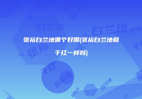 张裕白兰地哪个好喝(张裕白兰地和干红一样吗)