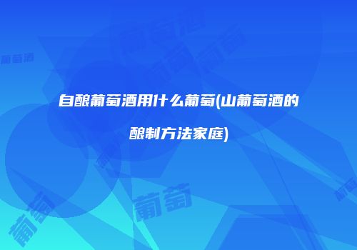 自酿葡萄酒用什么葡萄(山葡萄酒的酿制方法家庭)