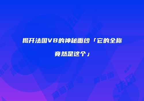 揭开法国VB的神秘面纱「它的全称竟然是这个」