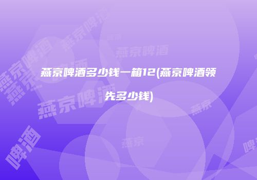 燕京啤酒多少钱一箱12(燕京啤酒领先多少钱)