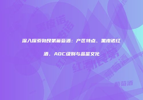 深入探索勃艮第葡萄酒：产区特点、黑皮诺红酒、AOC级别与品鉴文化