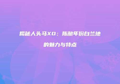 揭秘人头马XO：陈酿年份白兰地的魅力与特点