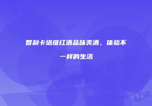 智利卡塔维红酒品味美酒，体验不一样的生活