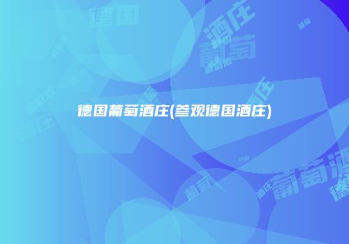 德国葡萄酒庄(参观德国酒庄)