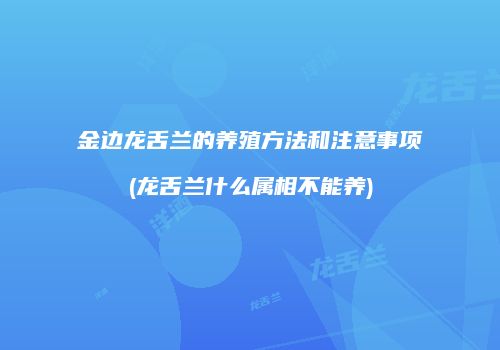 金边龙舌兰的养殖方法和注意事项(龙舌兰什么属相不能养)