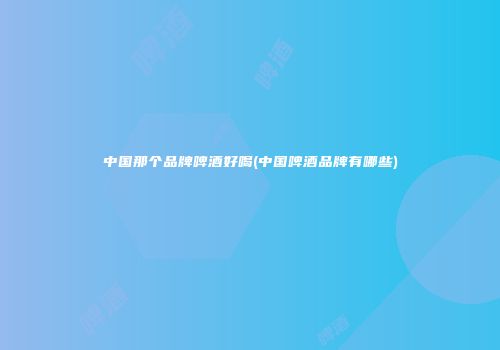 中国那个品牌啤酒好喝(中国啤酒品牌有哪些)