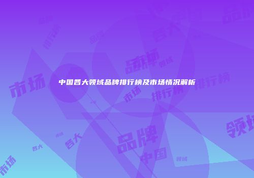 中国各大领域品牌排行榜及市场情况解析