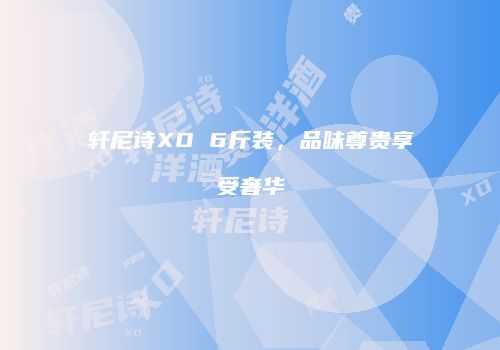 轩尼诗XO 6斤装，品味尊贵享受奢华
