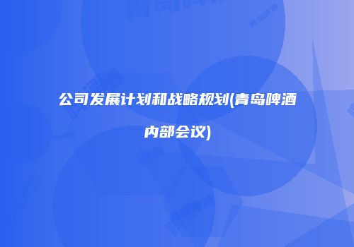公司发展计划和战略规划(青岛啤酒内部会议)