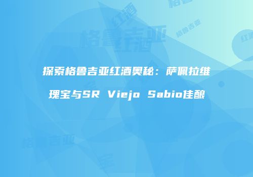 探索格鲁吉亚红酒奥秘：萨佩拉维瑰宝与SR Viejo Sabio佳酿