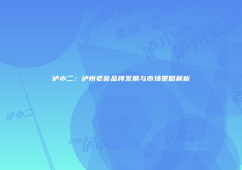 泸小二：泸州老窖品牌发展与市场策略解析