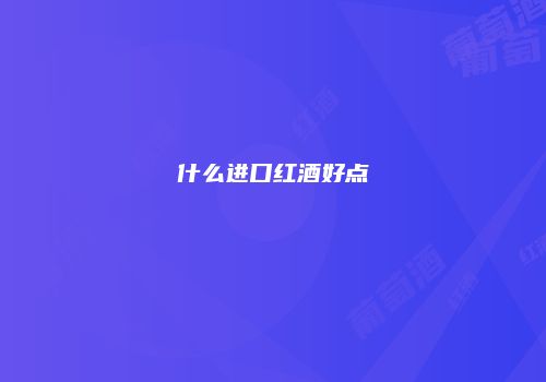 什么进口红酒好点