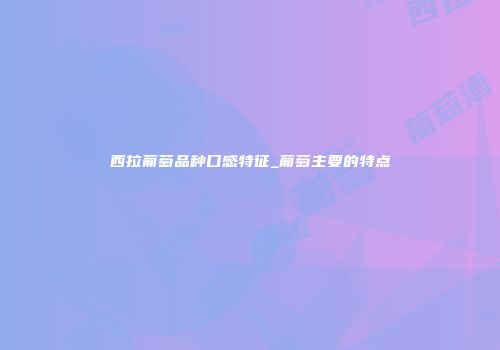 西拉葡萄品种口感特征_葡萄主要的特点