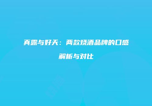 真露与好天：两款烧酒品牌的口感解析与对比