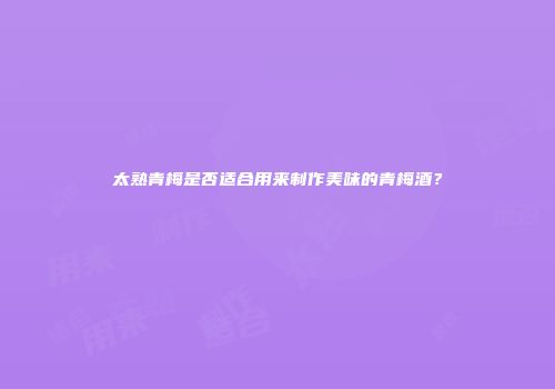 太熟青梅是否适合用来制作美味的青梅酒？