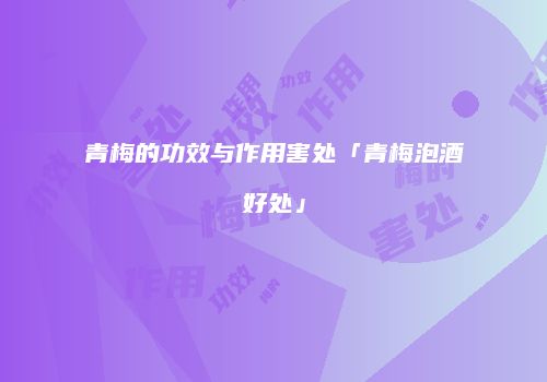 青梅的功效与作用害处「青梅泡酒好处」