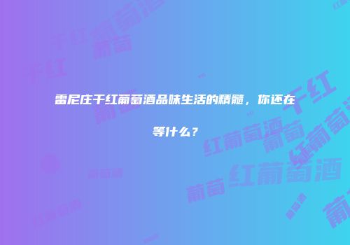 雷尼庄干红葡萄酒品味生活的精髓，你还在等什么？