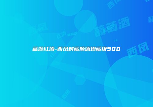 藏源红酒-西凤封藏源酒珍藏级500